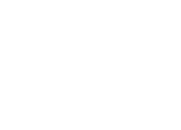Quick Lins-term-dates